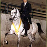 *Divine Wisdom (USA)